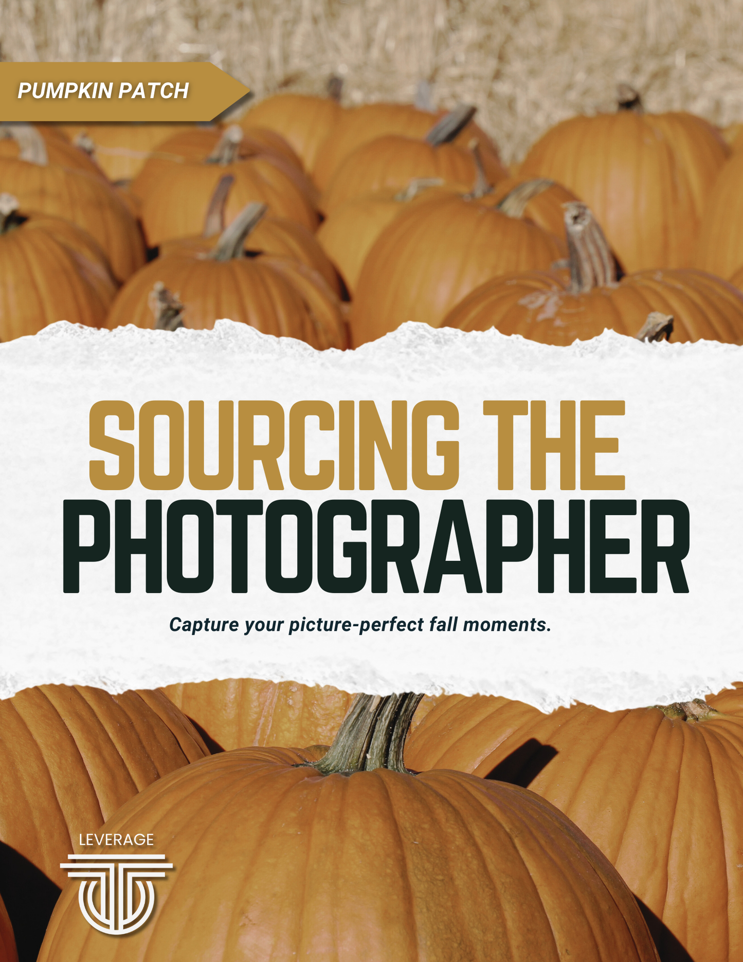 Pumpkin Patch Event Guide