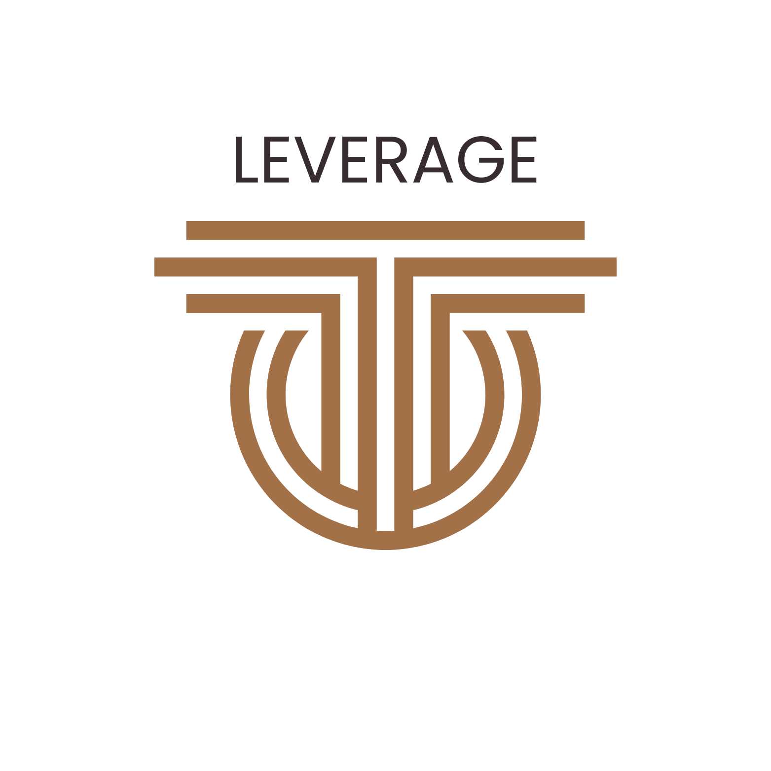 The Option Leverage